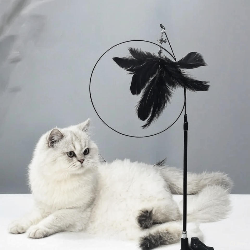 Interactive Cat Teaser Stick with Natural Feathers & Suction Cup